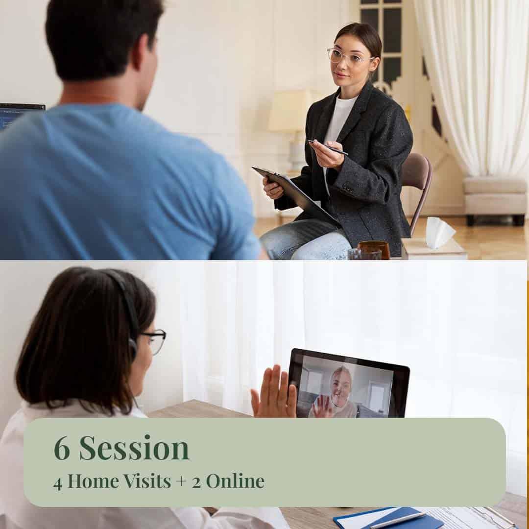 6 Sessions (4 In-Person + 2 Online)