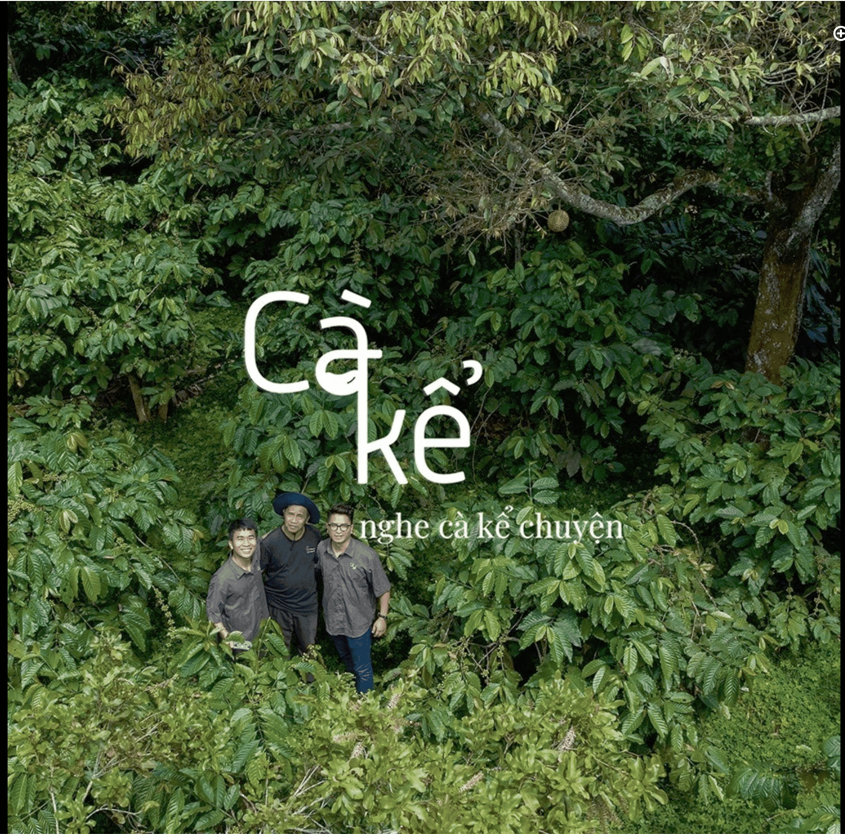 Whole beans Whole beans