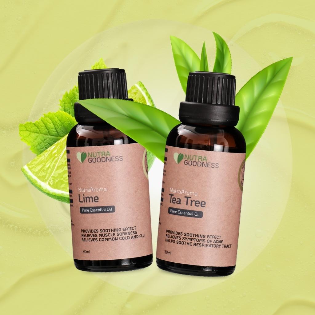 Lime + Tea Tree + Diffuser