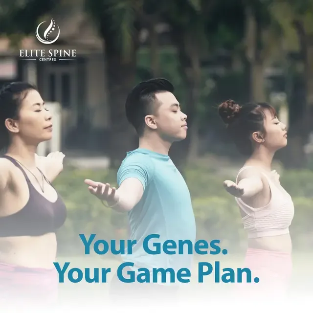 Elite Spine