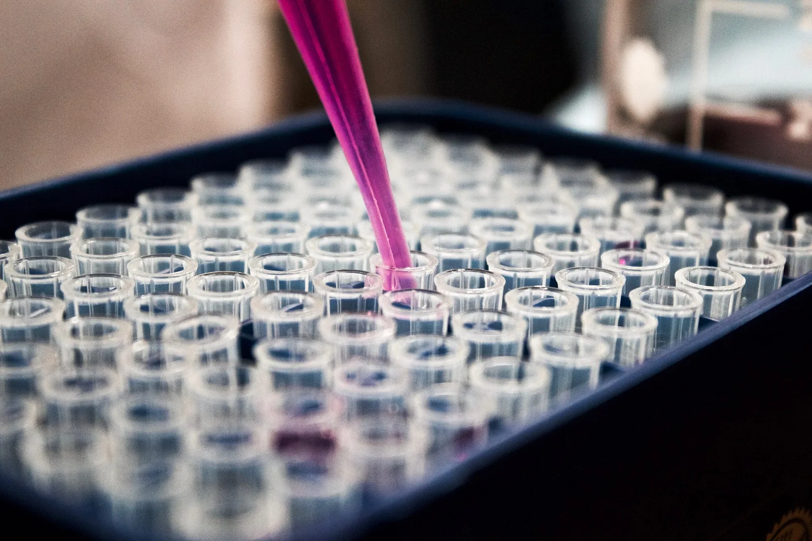 A pipette dispensing into a tray of sample tubes in a laboratory